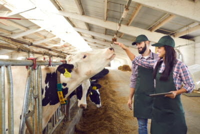 Importância das Telhas para o Agronegócio